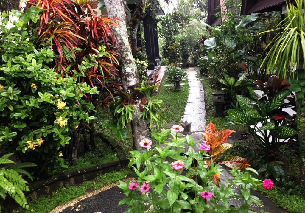 Pondok Bambu Homestay Ubud Dış mekan fotoğraf